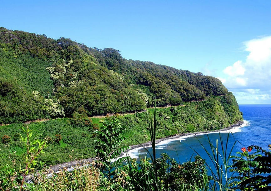 Polynesian Adventure Tours Road to Hana Adventure